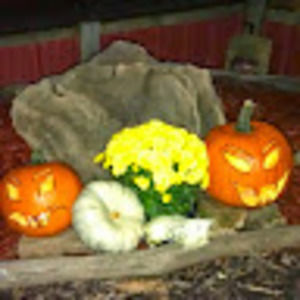 Meet your Posher, Tiny